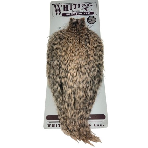Whiting Spey Hackle Cape  Grizzly Shell Pink